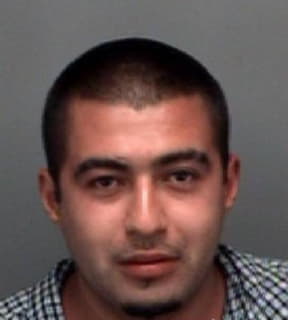 Martinez Wilfredo - Pinellas County, Florida 