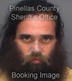 Jones Brian - Pinellas County, Florida 