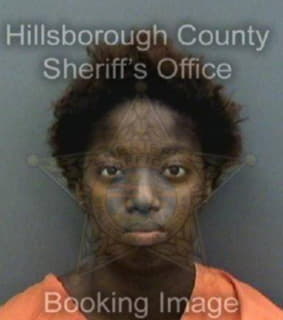 Boldewyn Jeanice - Hillsborough County, Florida 