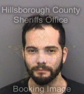 Clarkson David - Hillsborough County, Florida 