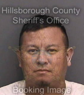 Martinezramirez Hector - Hillsborough County, Florida 