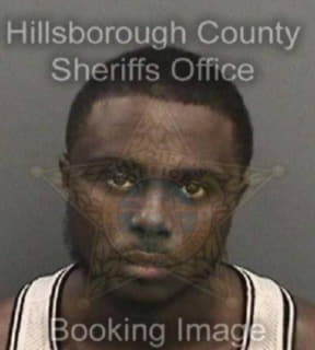 Diggs Dalante - Hillsborough County, Florida 