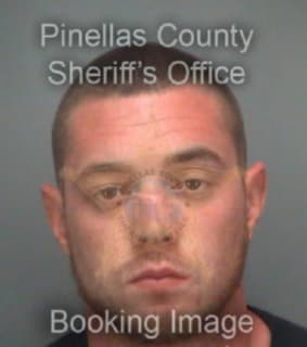 Willard David - Pinellas County, Florida 