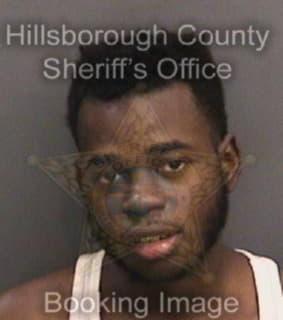 Michel Clozel - Hillsborough County, Florida 