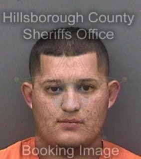 Carbajal Johnathan - Hillsborough County, Florida 