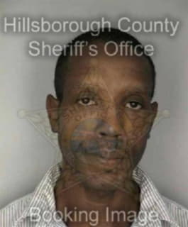 Johnson Michael - Hillsborough County, Florida 