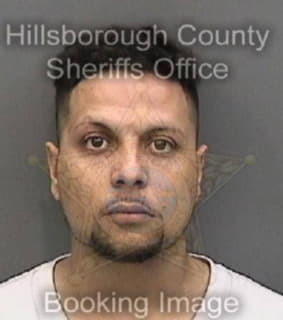 Wiesenberg Paul - Hillsborough County, Florida 