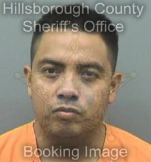 Mendoza Salvador - Hillsborough County, Florida 