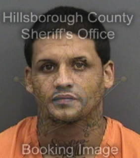 Diaz Amaury - Hillsborough County, Florida 