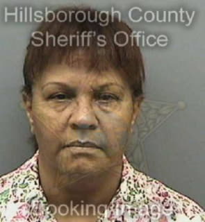 Silva Catherine - Hillsborough County, Florida 