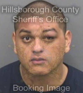 Romero Daniel - Hillsborough County, Florida 