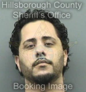 Vargas Jason - Hillsborough County, Florida 