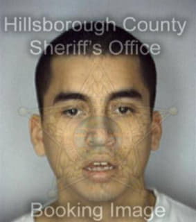 Argudo Jorge - Hillsborough County, Florida 