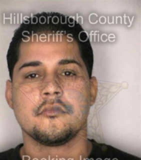 Martinez Jose - Hillsborough County, Florida 