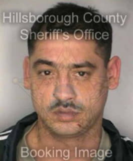 Rivera Moises - Hillsborough County, Florida 