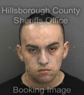 Romerocamargo Carlos - Hillsborough County, Florida 