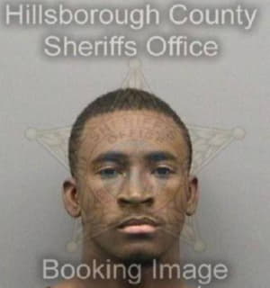 Mcclinton Corey - Hillsborough County, Florida 