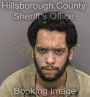 Ahmed Mayub - Hillsborough County, Florida 