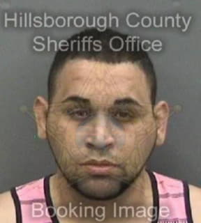 Rodriguez Ruben - Hillsborough County, Florida 