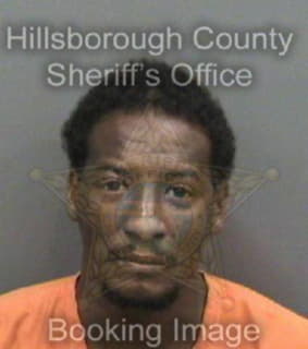 Mccallum Anthony - Hillsborough County, Florida 