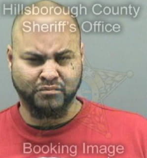 Rosavazquez Jose - Hillsborough County, Florida 