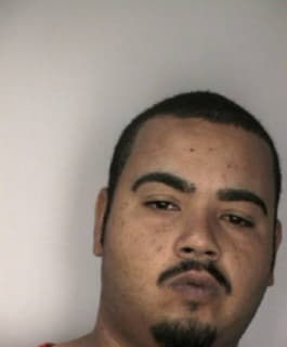 Negron Wilfredo - Hillsborough County, Florida 