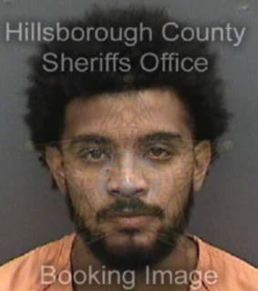 Arocho Anthony - Hillsborough County, Florida 