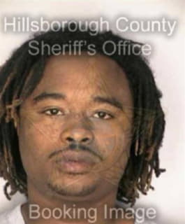 Williams Jemario - Hillsborough County, Florida 