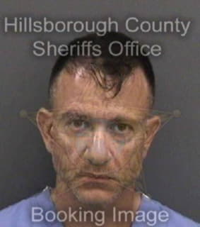 Delany Matthew - Hillsborough County, Florida 