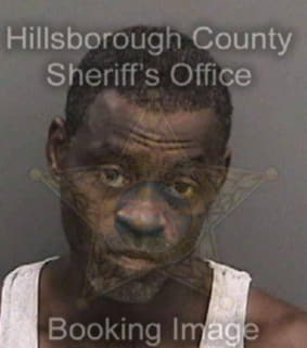 Ross Michael - Hillsborough County, Florida 