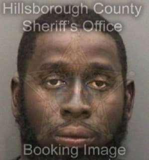 Robinson Miguel - Hillsborough County, Florida 