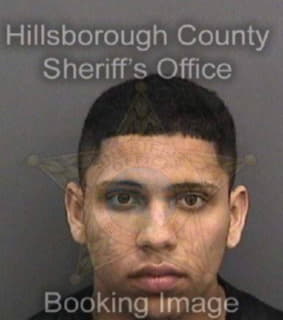 Rivera Andre - Hillsborough County, Florida 