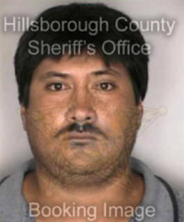 Martinez Domingo - Hillsborough County, Florida 