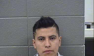 Casas Humberto - Cook County, Illinois 