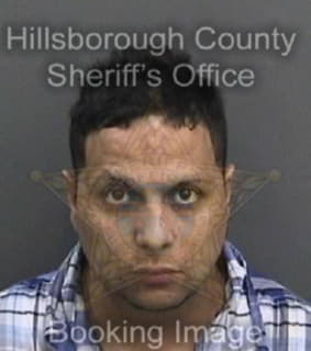 Wiesenberg Paul - Hillsborough County, Florida 