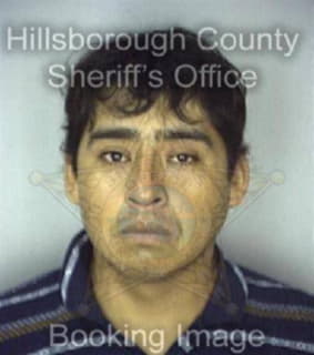 Messa Salvadore - Hillsborough County, Florida 