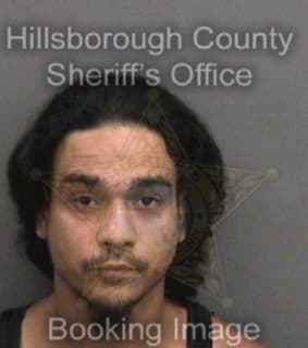 Roche Sergio - Hillsborough County, Florida 