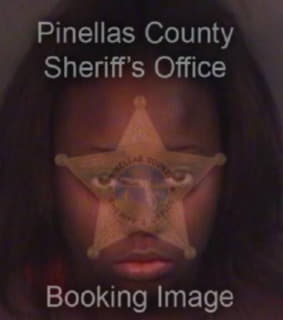 Wilson Aliceja - Pinellas County, Florida 