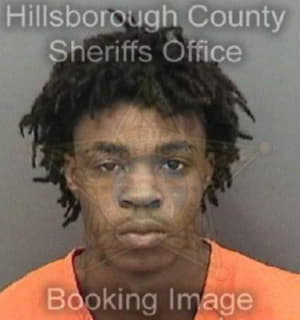 Collins Nyjoel - Hillsborough County, Florida 