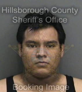 Rangel Paul - Hillsborough County, Florida 