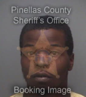 Richardson Troy - Pinellas County, Florida 