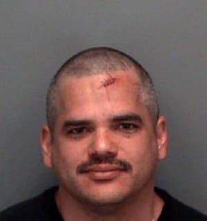 Rivera Francisco - Pinellas County, Florida 