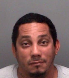 Melendez Hector - Pinellas County, Florida 