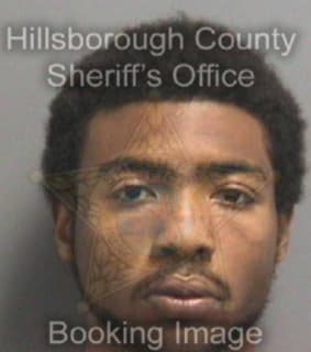 Reese Julian - Hillsborough County, Florida 