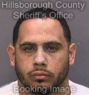 Rodriguez Melvin - Hillsborough County, Florida 