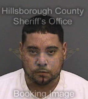 Diaz Samir - Hillsborough County, Florida 