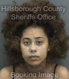 Meneseswilliams Alexa - Hillsborough County, Florida 