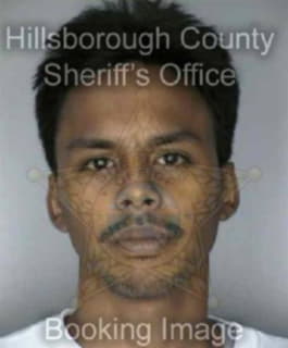 Persaud James - Hillsborough County, Florida 