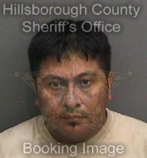 Rosales Abel - Hillsborough County, Florida 