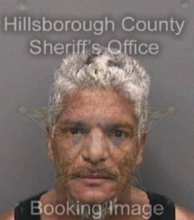 Rodriguezquinones Carlos - Hillsborough County, Florida 